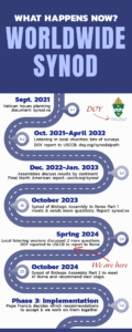 roadmap of the synod infographic